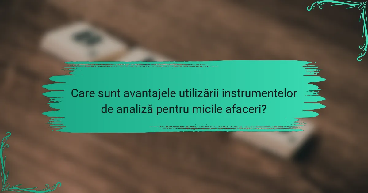 Care sunt avantajele utilizării instrumentelor de analiză pentru micile afaceri?