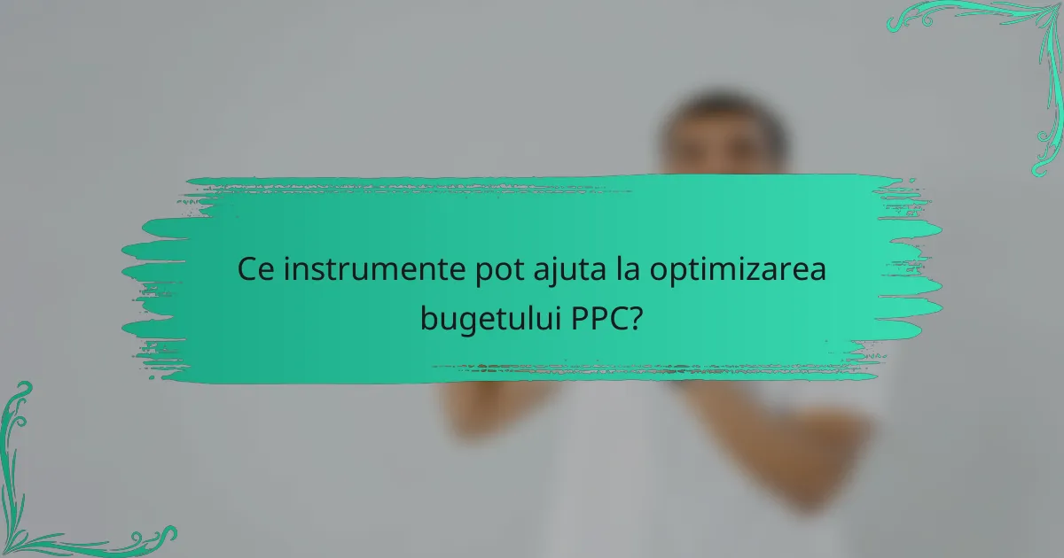 Ce instrumente pot ajuta la optimizarea bugetului PPC?