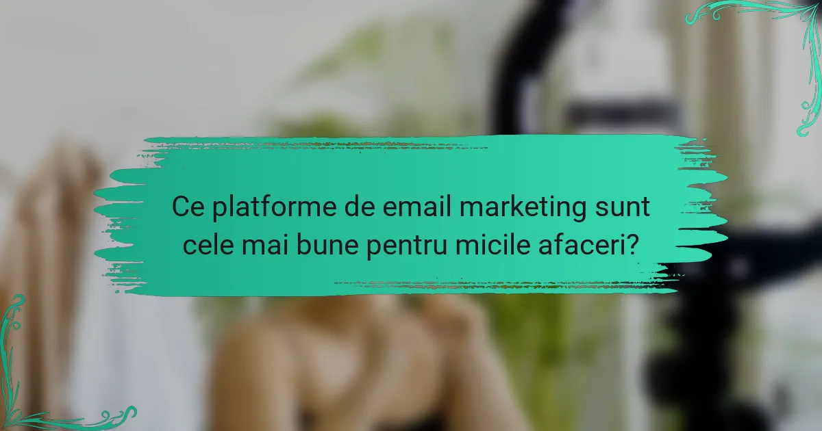 Ce platforme de email marketing sunt cele mai bune pentru micile afaceri?
