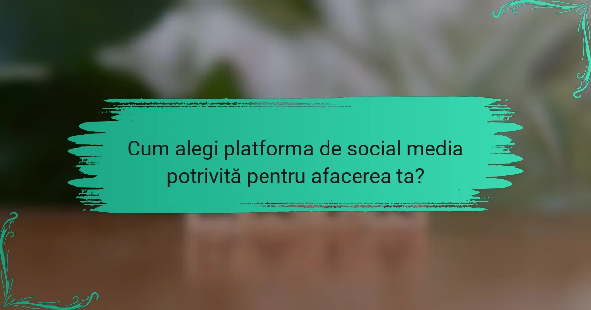 Cum alegi platforma de social media potrivită pentru afacerea ta?